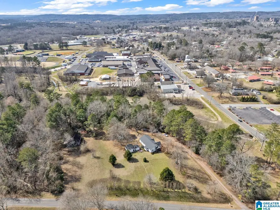 301 SE WILLIAMS AVENUE, Hanceville, AL 35077 - #2