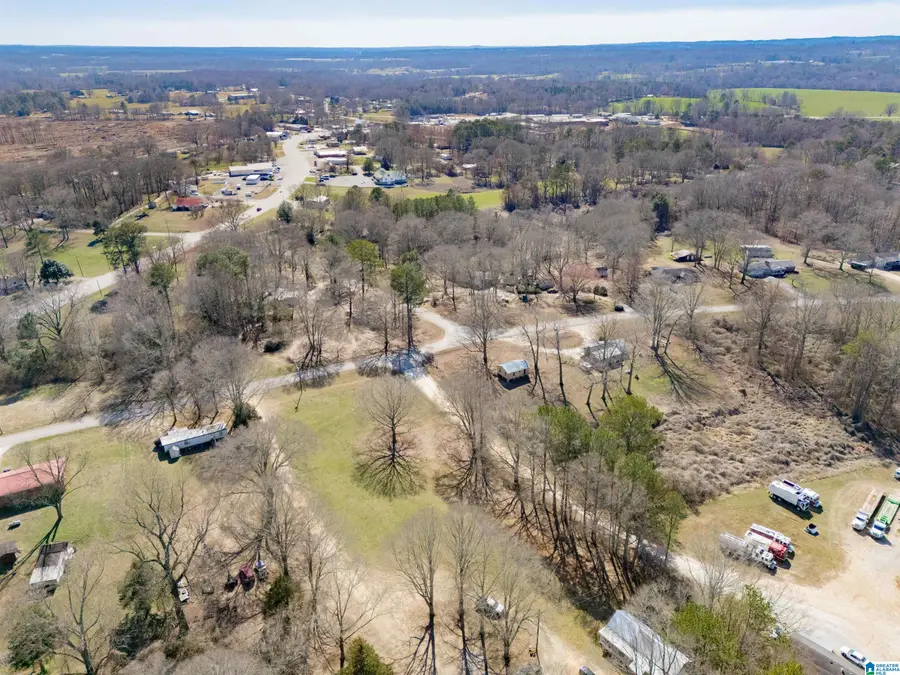 120 3RD AVENUE, Ranburne, AL 36273 - #2