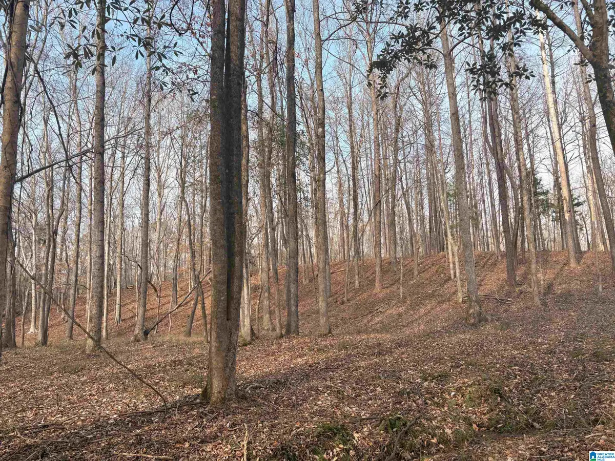 000002 TRUMAN ALDRICH PARKWAY, West Blocton, AL 35184 - #1