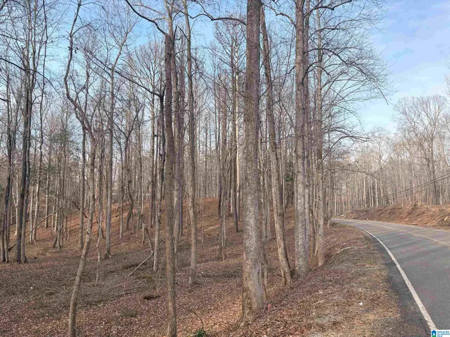 000002 TRUMAN ALDRICH PARKWAY, West Blocton, AL 35184 - #2