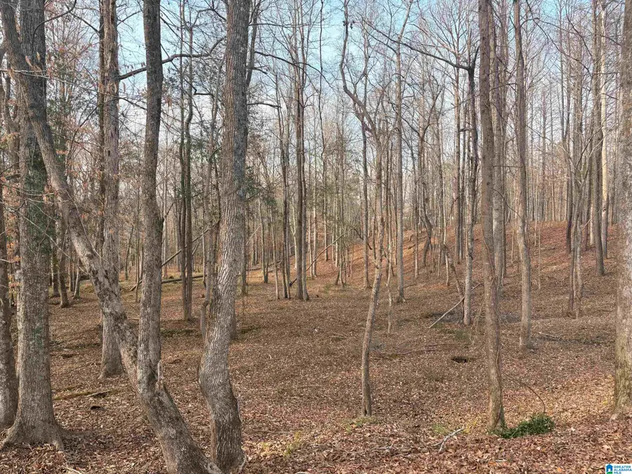 000002 TRUMAN ALDRICH PARKWAY, West Blocton, AL 35184 - #3