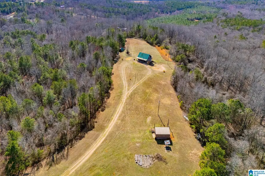 2107 COUNTY ROAD 71, Woodland, AL 36280 - #2