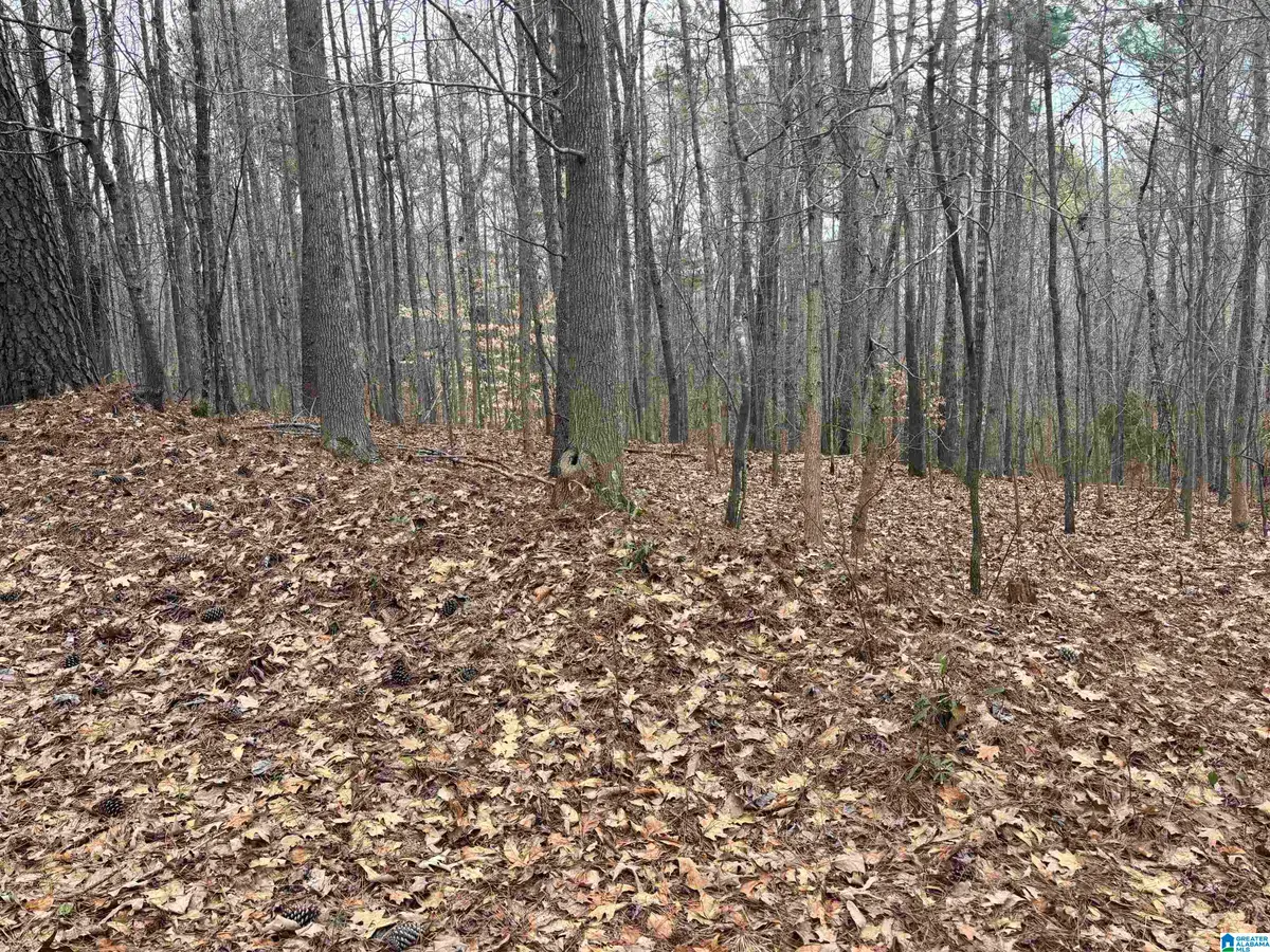 6901 SELLERS ROAD, Dora, AL 35062 - #1