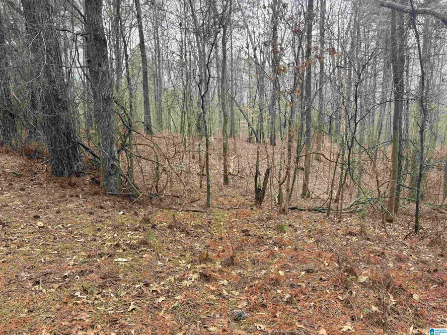 6901 SELLERS ROAD, Dora, AL 35062 - #2