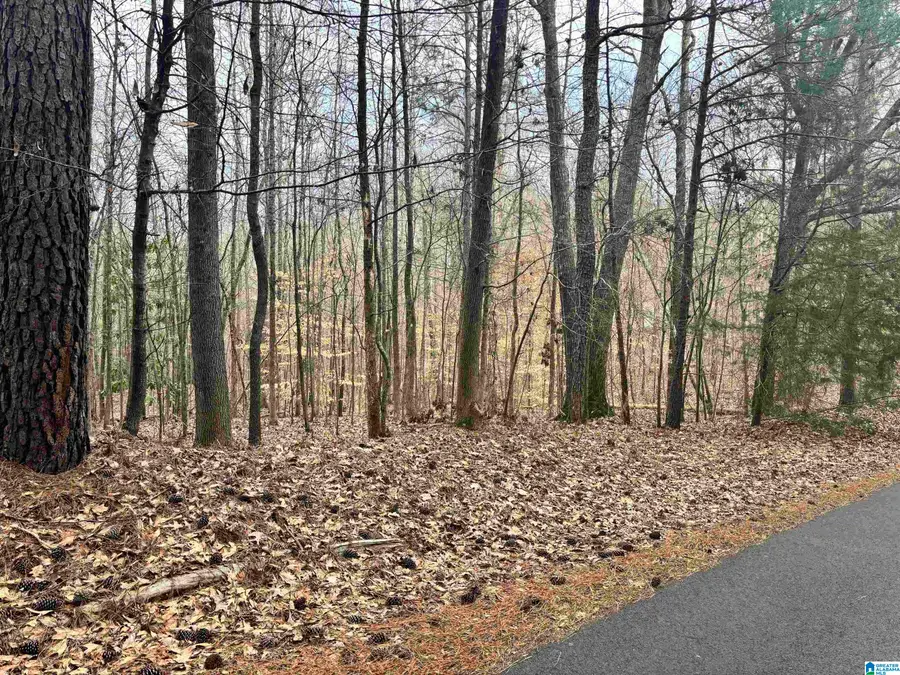 6901 SELLERS ROAD, Dora, AL 35062 - #3