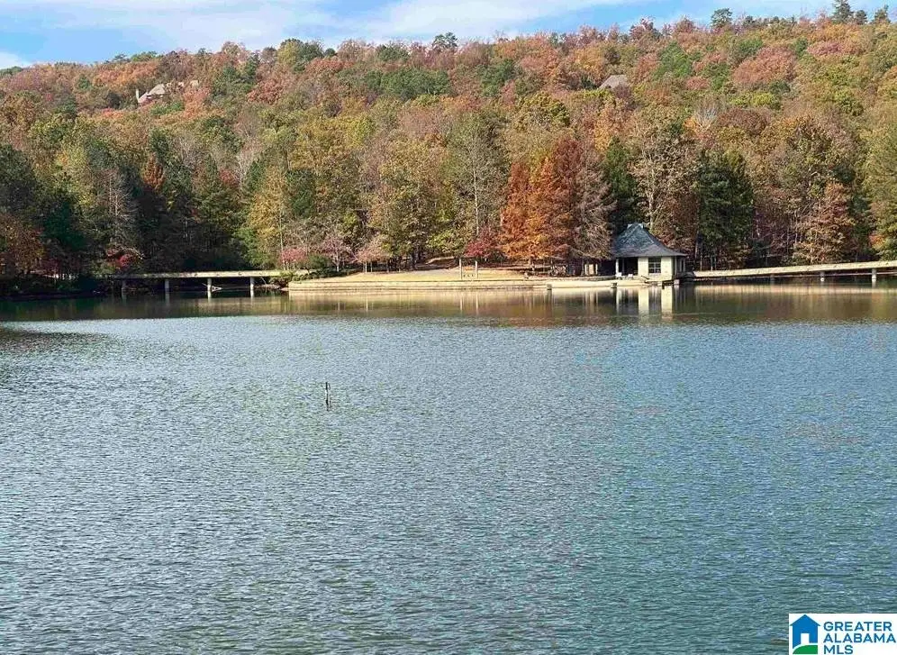 260 SOUTH OAK DRIVE, Birmingham, AL 35242 - #1