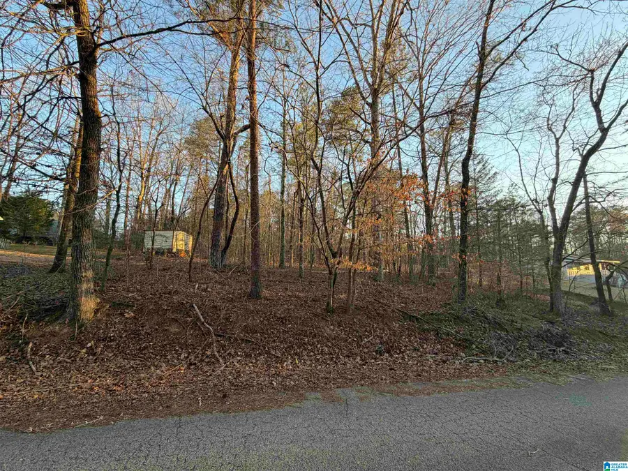 RICHARD DRIVE, Lake View, AL 35111 - #3