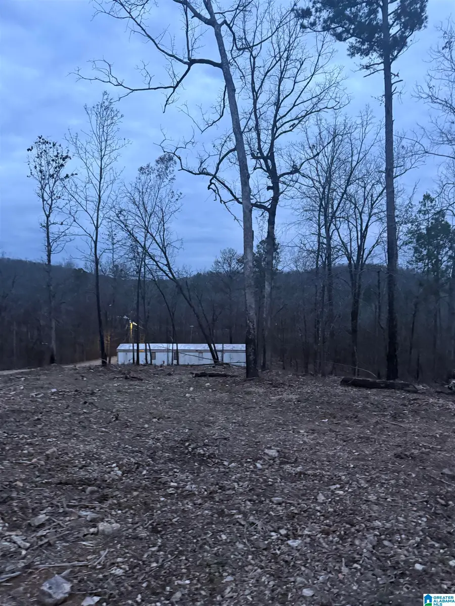 135 BIG CHIEF, Ohatchee, AL 36271 - #3