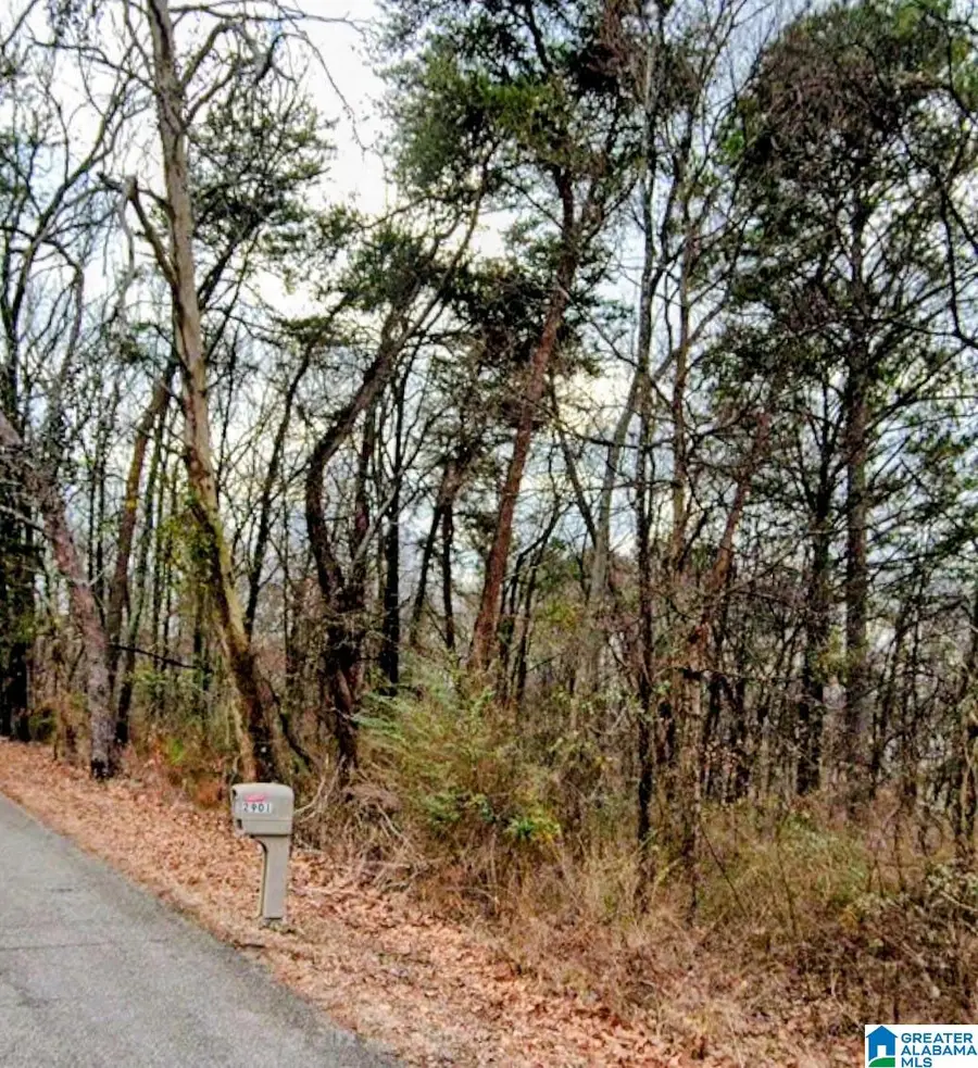 2908 29TH STREET SW, Birmingham, AL 35211 - #2