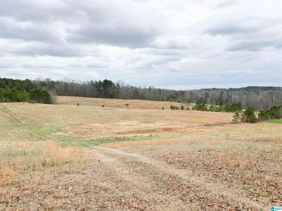 582 COUNTY ROAD 71, Woodland, AL 36280 - #3