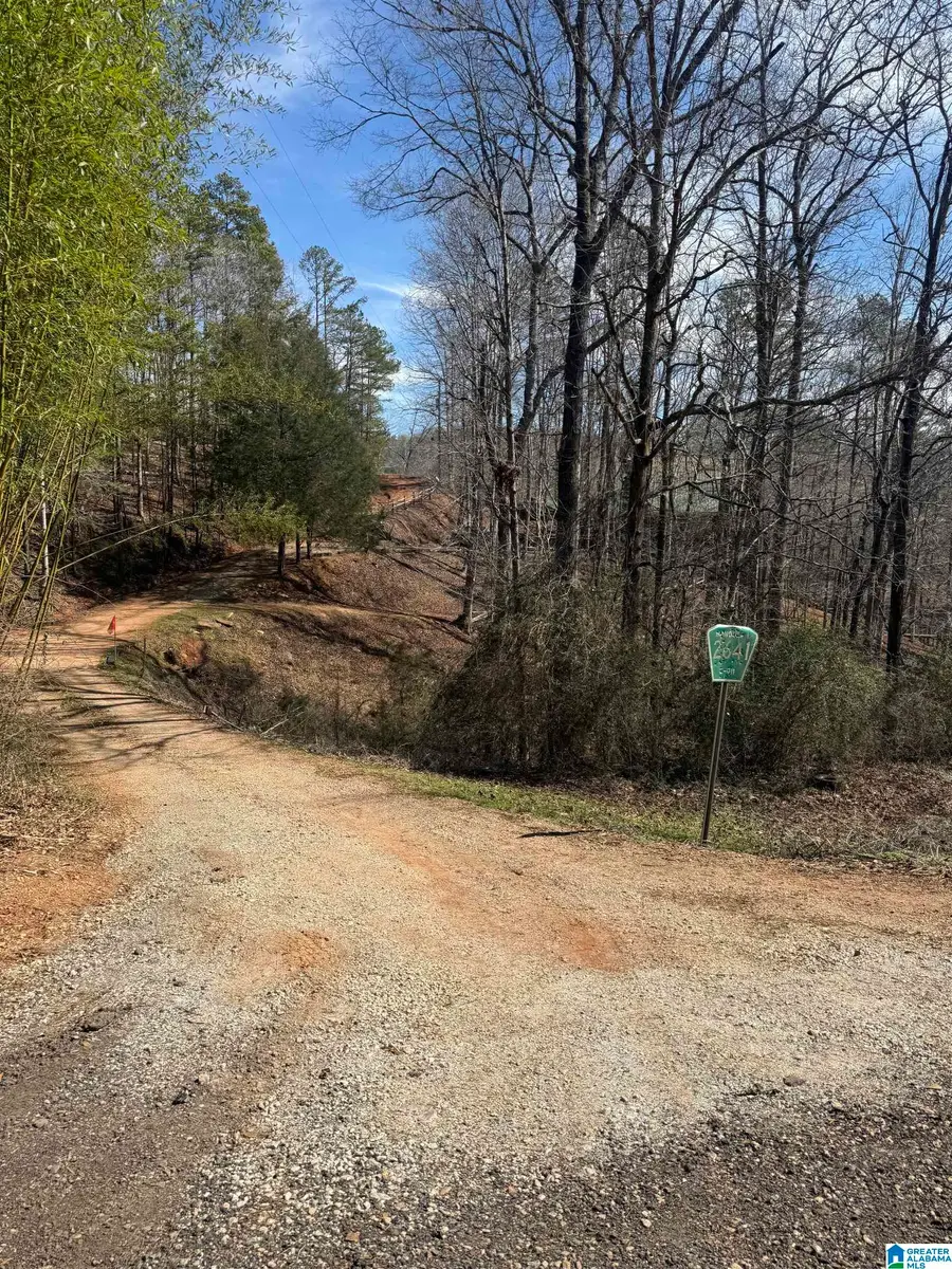 0 COUNTY ROAD 264, Wedowee, AL 36278 - #3
