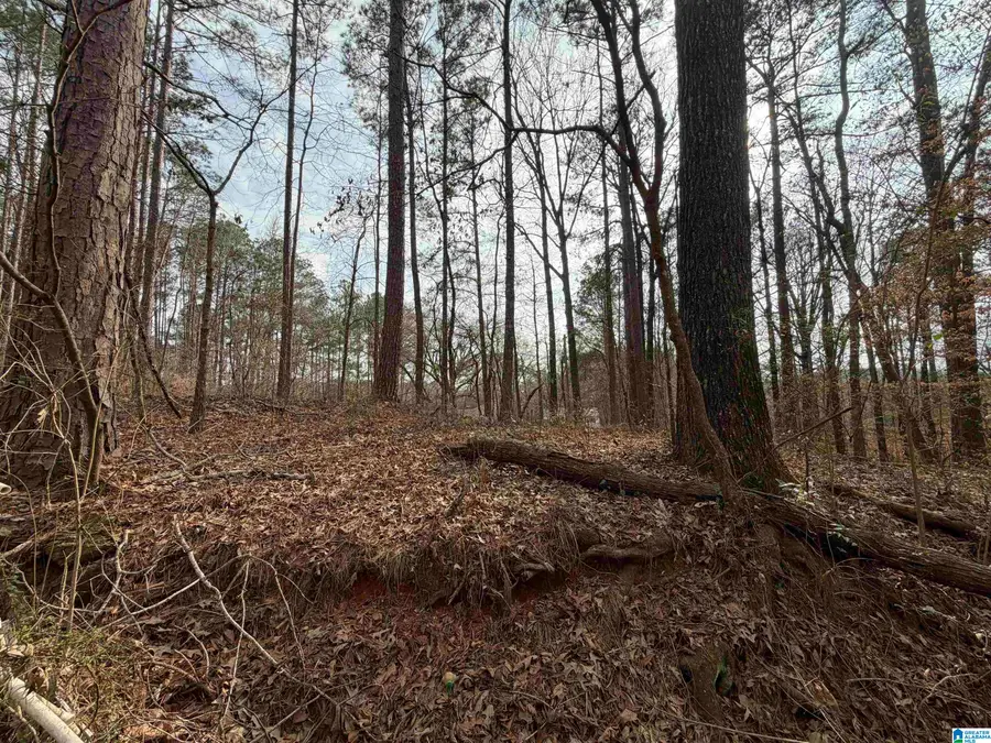 1069 MIDWAY ESTATES ROAD, Jacksons Gap, AL 36861 - #2