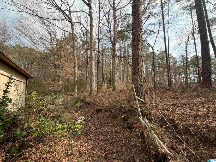 1069 MIDWAY ESTATES ROAD, Jacksons Gap, AL 36861 - #3