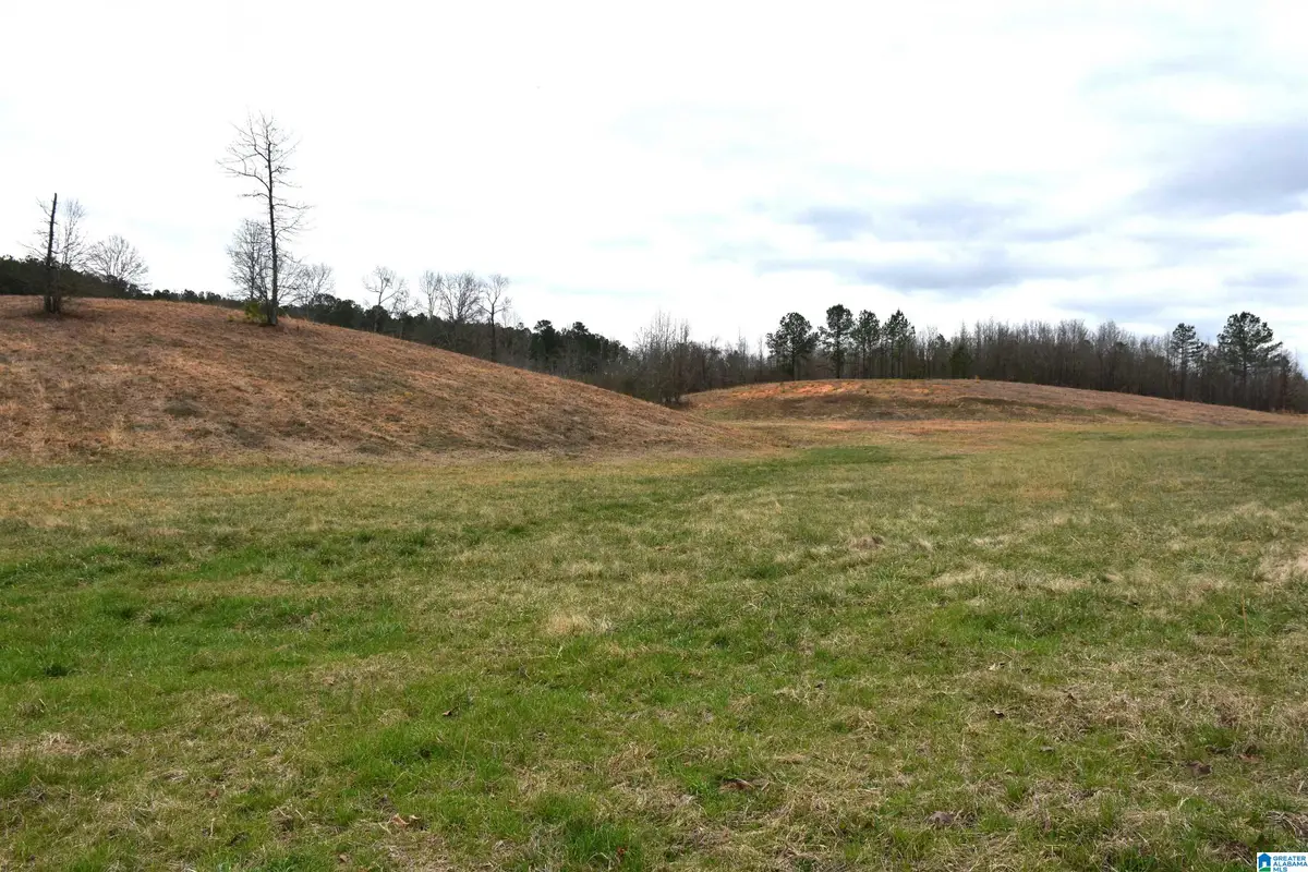 0 GRIST MILL ROAD, Childersburg, AL 35044 - #1