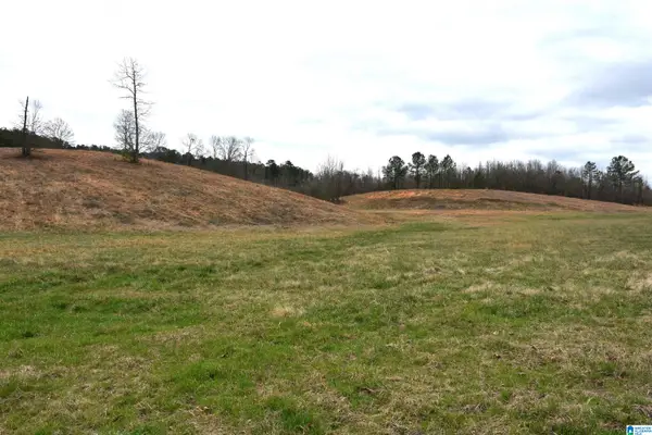 0 GRIST MILL ROAD, Childersburg, AL 35044