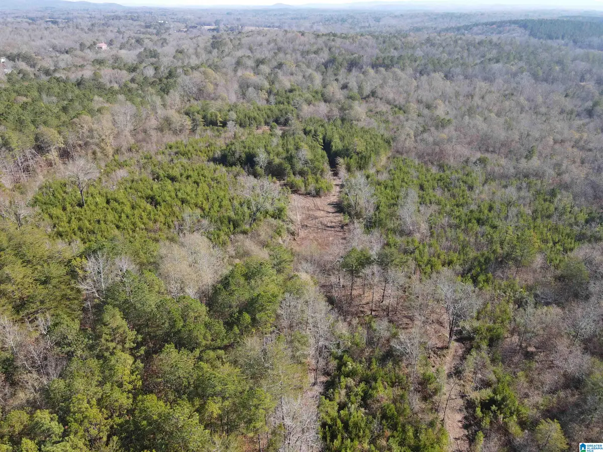 0 CUNNINGHAM LANE, Eastaboga, AL 36260 - #1