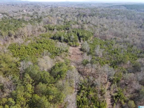 0 CUNNINGHAM LANE, Eastaboga, AL 36260