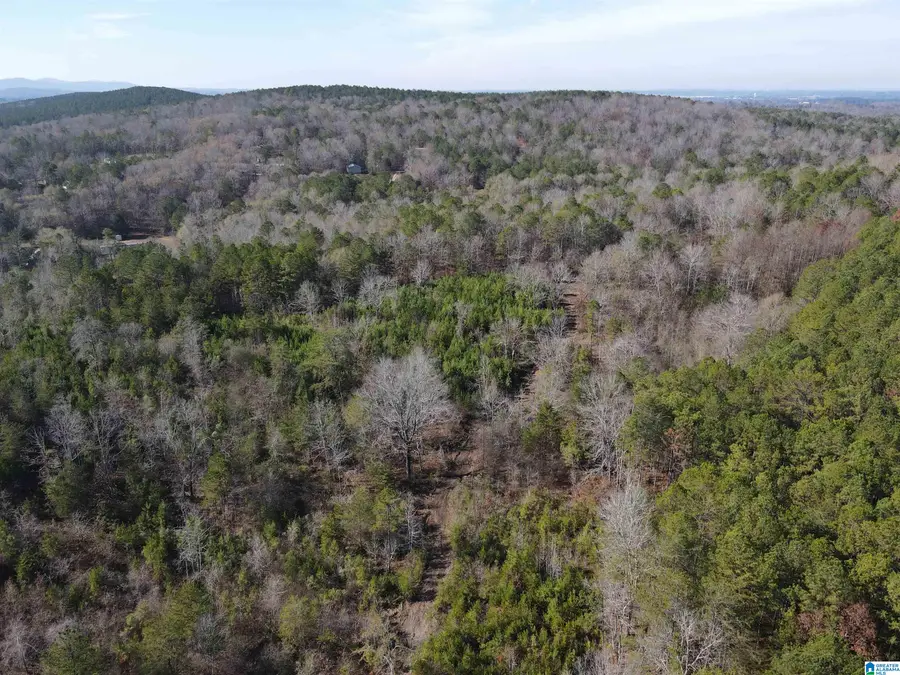 0 CUNNINGHAM LANE, Eastaboga, AL 36260 - #2