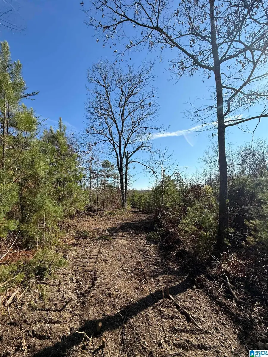 0 CUNNINGHAM LANE, Eastaboga, AL 36260 - #3