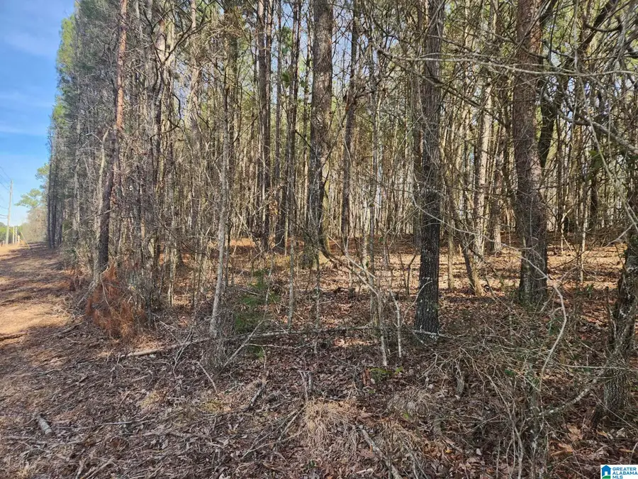 0 HIGHWAY 79, Remlap, AL 35133 - #2