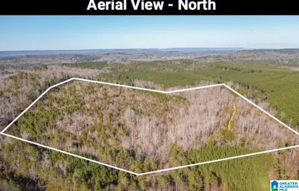 0 PLEASANT HILL ROAD, Odenville, AL 35120