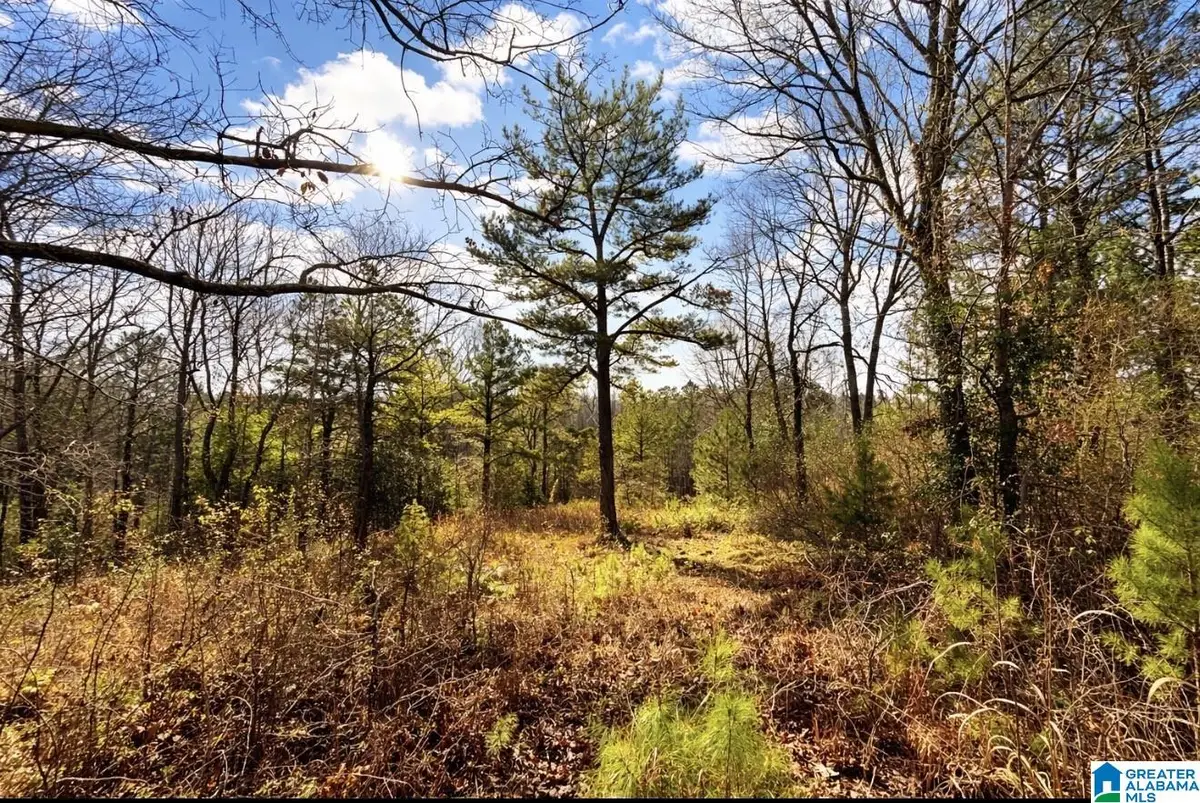 1344 DENAS COVE ROAD, Ragland, AL 35131 - #1