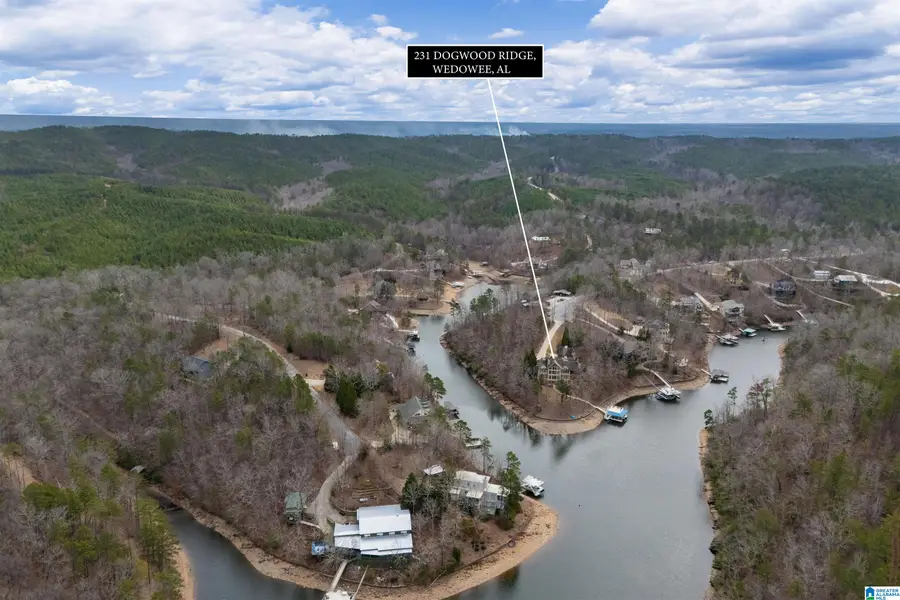 231 DOGWOOD RIDGE, Wedowee, AL 36278 - #3