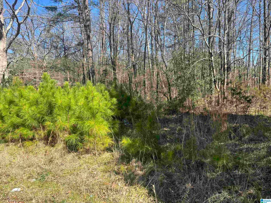 0 UNION ROAD, Somerville, AL 35670 - #3