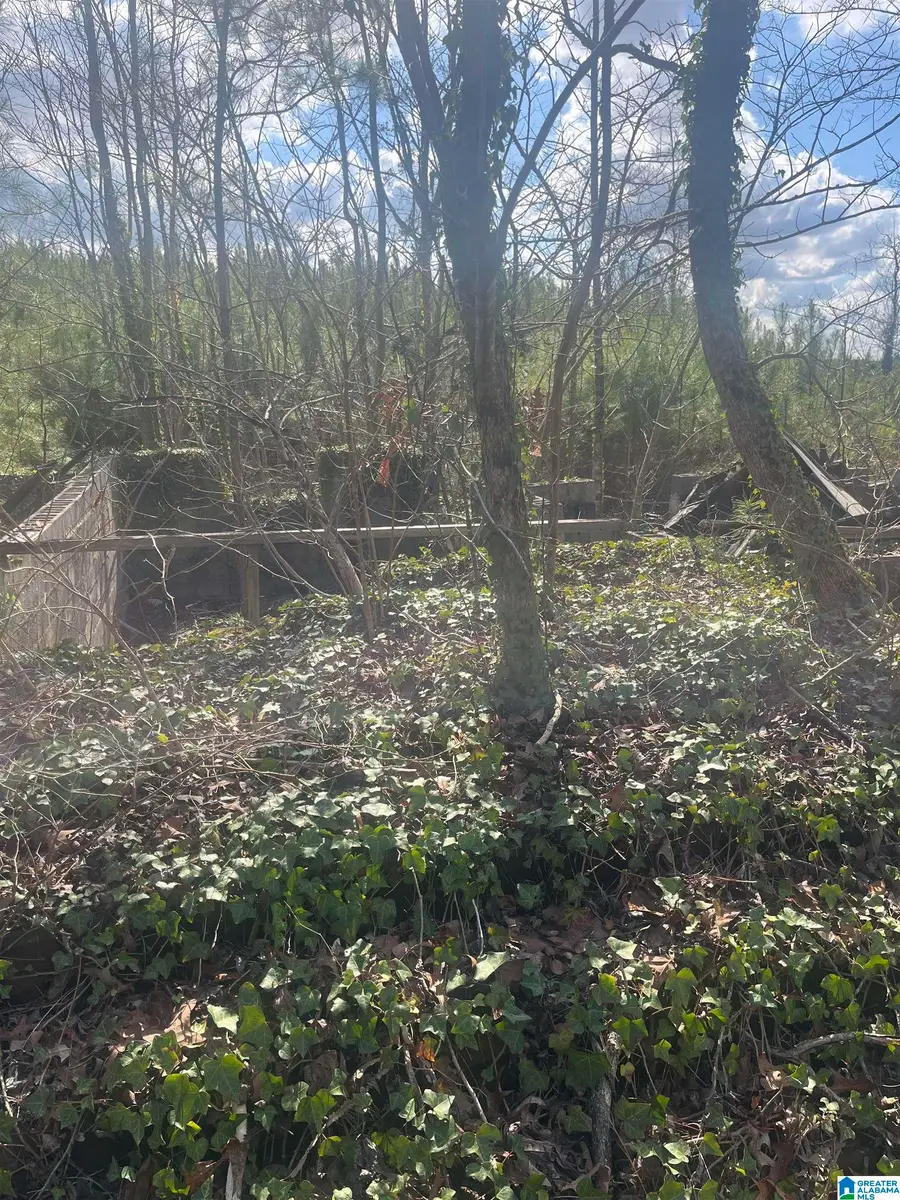 0 OLD WOODSTOCK ROAD, West Blocton, AL 35184 - #2