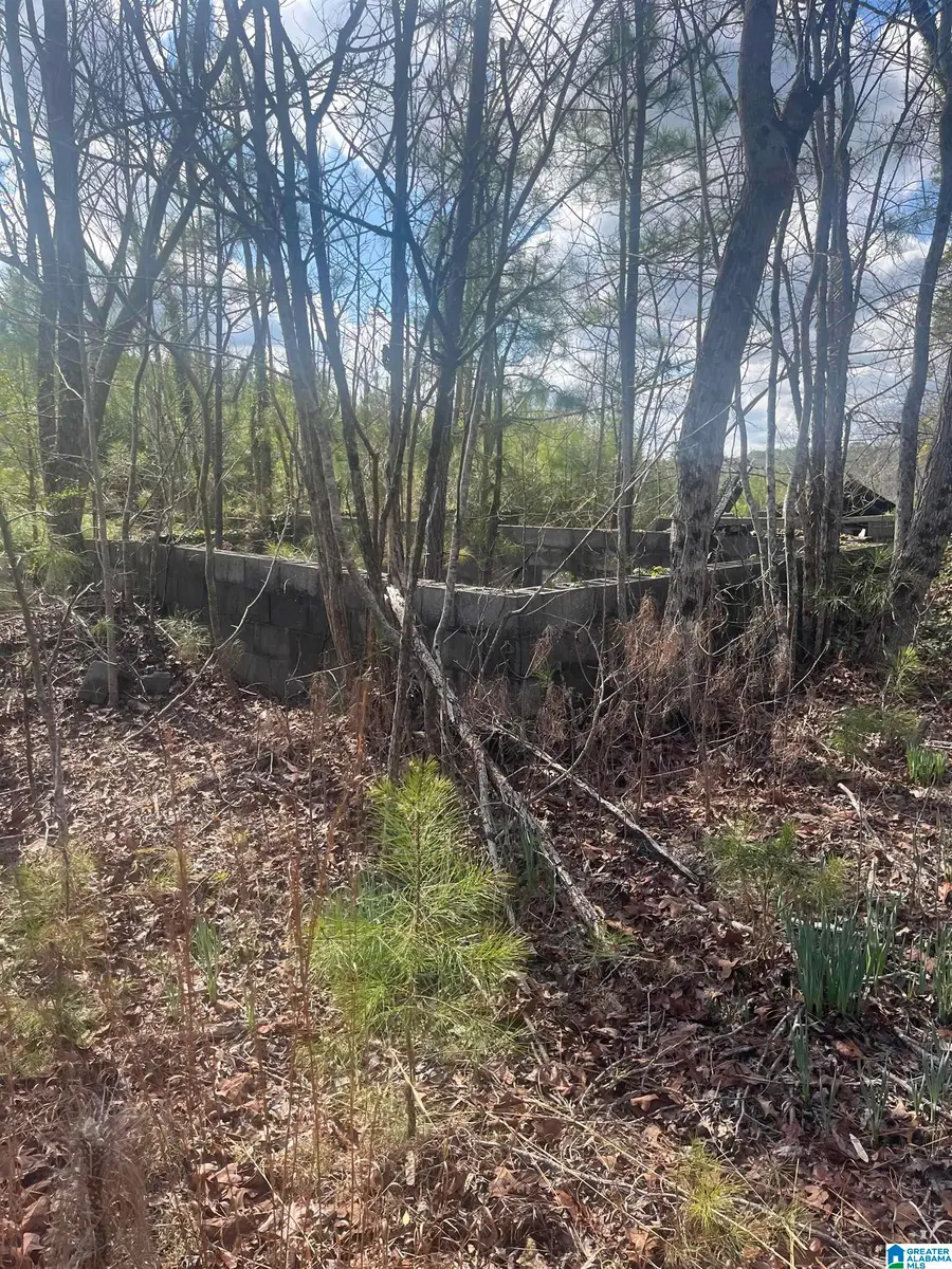 0 OLD WOODSTOCK ROAD, West Blocton, AL 35184 - #3