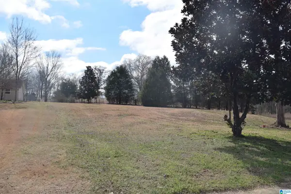 22213 SANDRA LANE, Mccalla, AL 35111