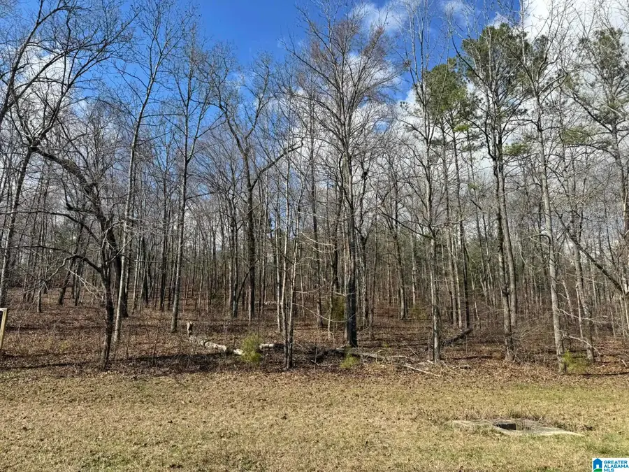 7533 COLONIAL TRACE CIRCLE, Bessemer, AL 35022 - #2