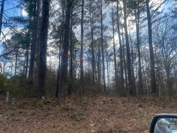 lot 18 DOGWOOD CIRCLE, Roanoke, AL 36274