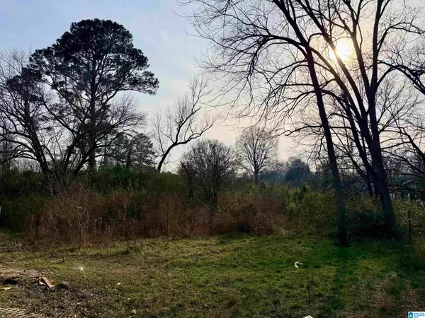 0 WESTERN AVENUE, Sylacauga, AL 35150