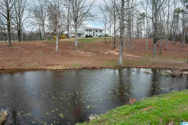 3060 HIGHWAY 47, Columbiana, AL 35051