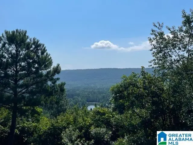 1118 GREYSTONE CREST DRIVE, Birmingham, AL 35242 - #1