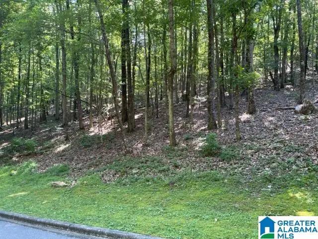 1118 GREYSTONE CREST DRIVE, Birmingham, AL 35242 - #2