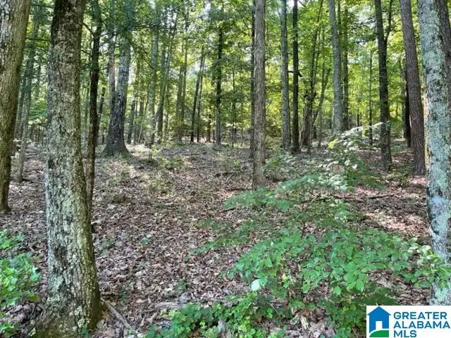 1118 GREYSTONE CREST DRIVE, Birmingham, AL 35242 - #3