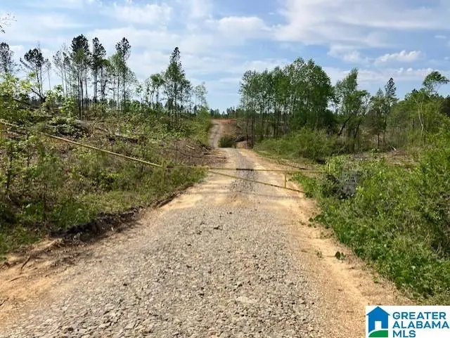 11482 CAMP OLIVER ROAD, Adger, AL 35006 - #2