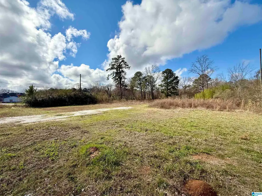 33866 HIGHWAY 280, Childersburg, AL 35044 - #3