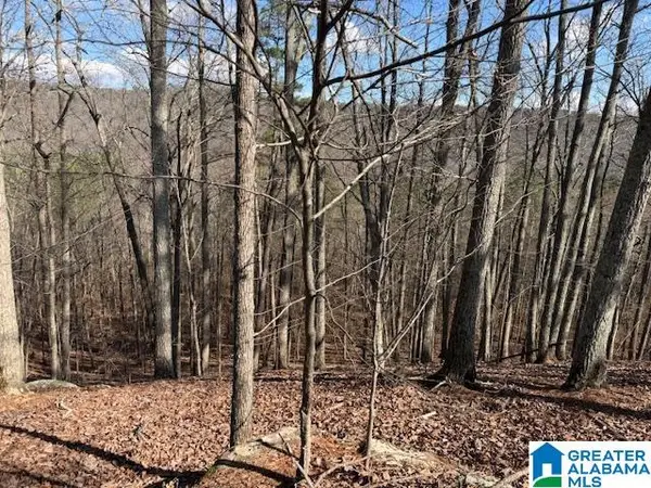 #80 SNOW DRIVE, Guntersville, AL 35976