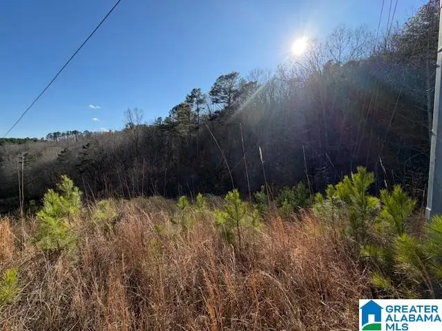 #80 SNOW DRIVE, Guntersville, AL 35976 - #2