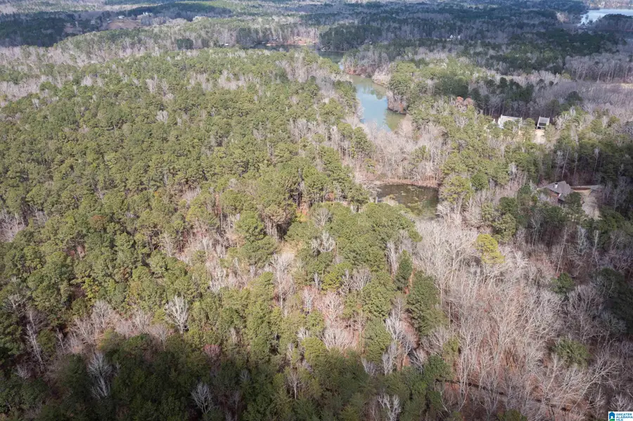 958 SMYER LAKE ROAD, Leeds, AL 35094 - #2