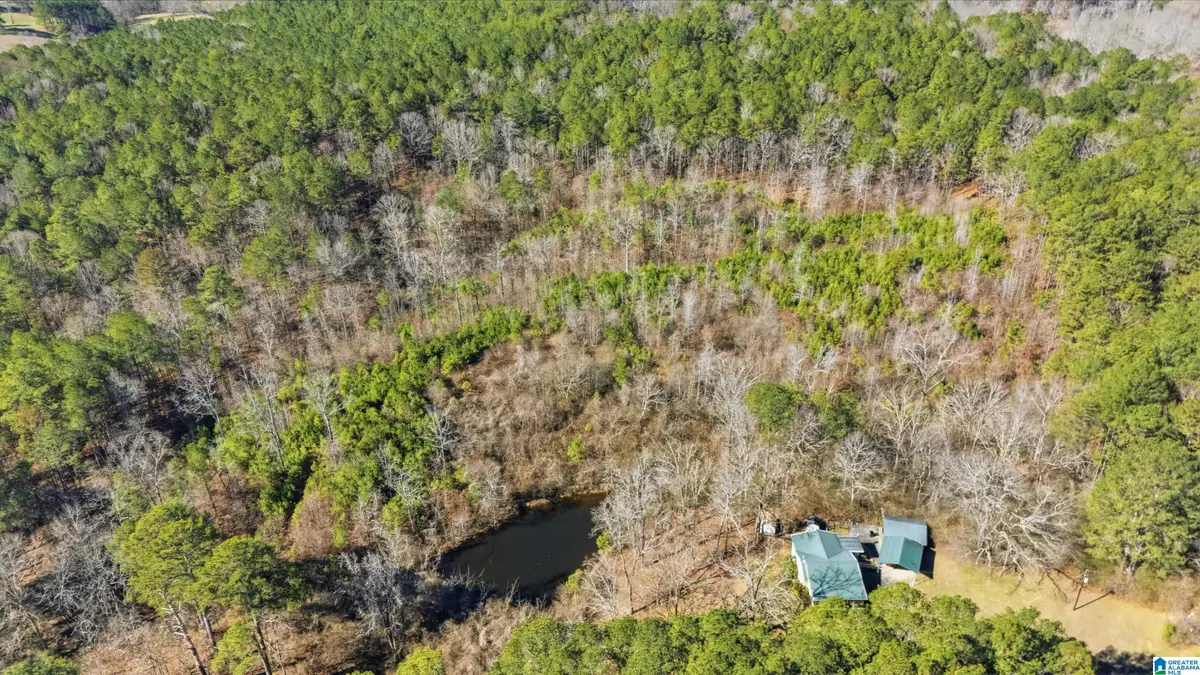 8160 ANDERSON DRIVE, Morris, AL 35116 - #1