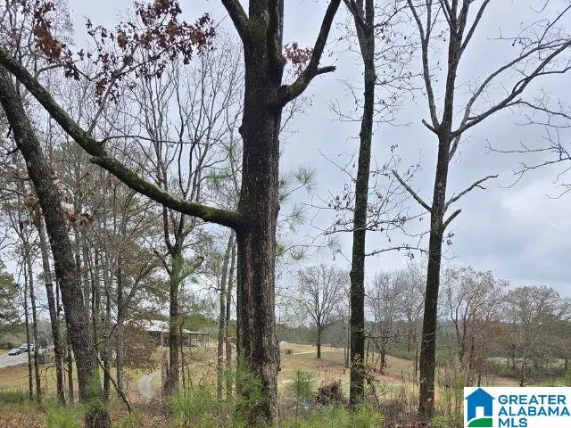 0 CAPRICORN DRIVE, Alpine, AL 35014 - #1