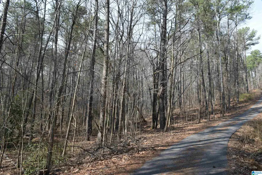 1200 PINE RIDGE CIRCLE, Sylacauga, AL 35150 - #2