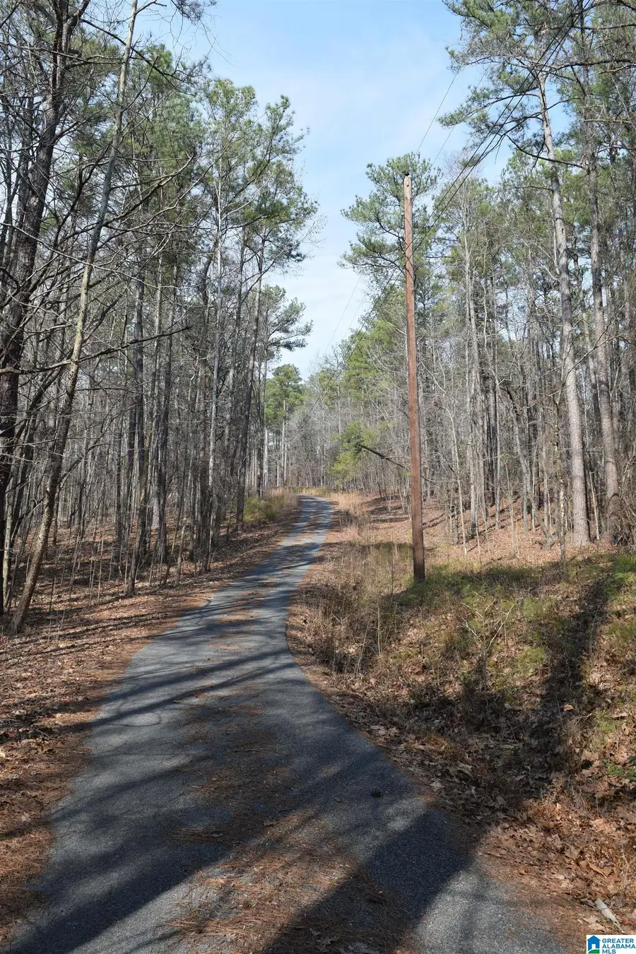 1200 PINE RIDGE CIRCLE, Sylacauga, AL 35150 - #3