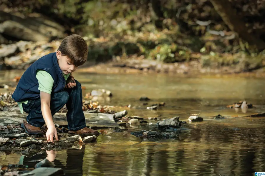 4 BELLERIVE KNOLLS, Birmingham, AL 35242 - #2