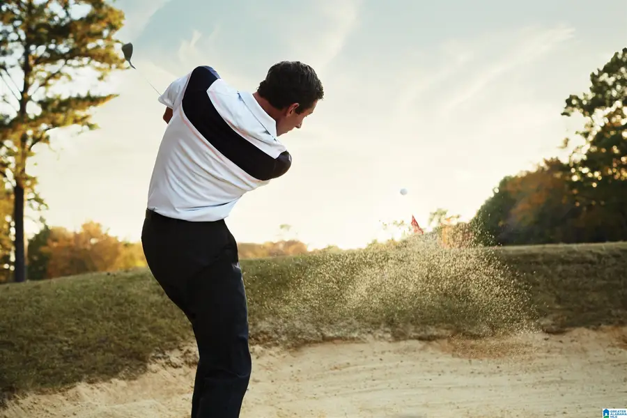 4 BELLERIVE KNOLLS, Birmingham, AL 35242 - #3