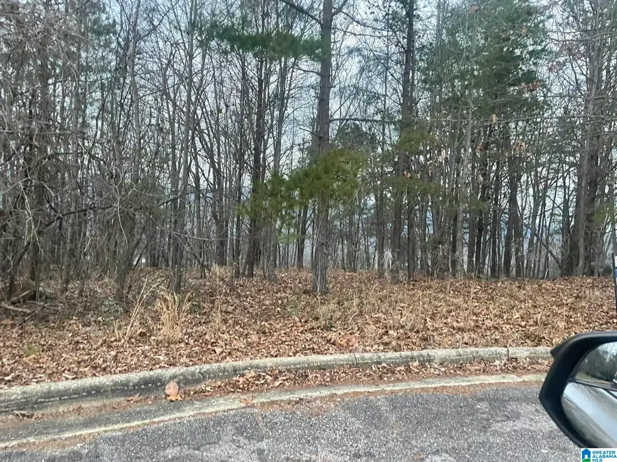 0 CHRISTINE AVENUE, Anniston, AL 36203 - #2